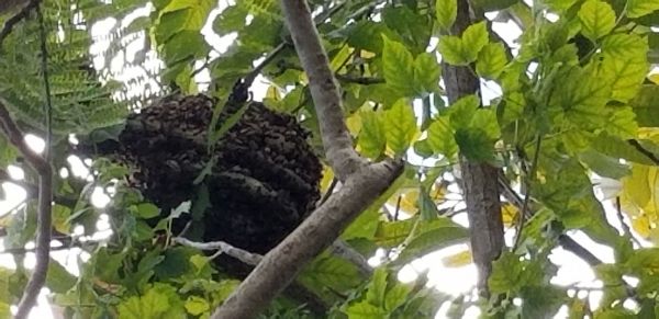 20190723_140114.jpg