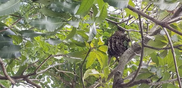 20190723_140151.jpg