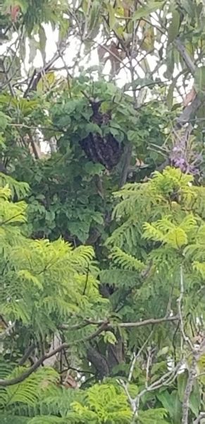 20190723_140322.jpg