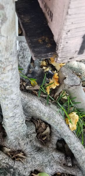20190724_132814.jpg