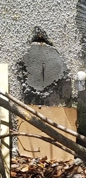 20190726_133316.jpg