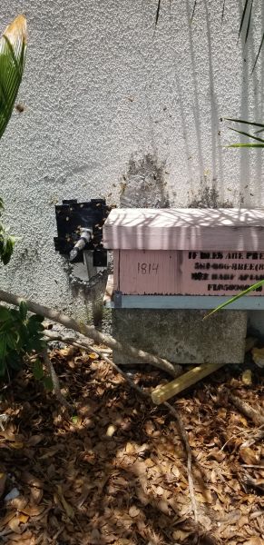 20190726_134524.jpg