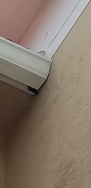 20190730_124153.jpg