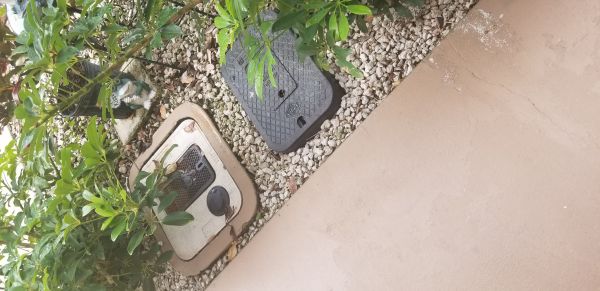 20190801_175041.jpg