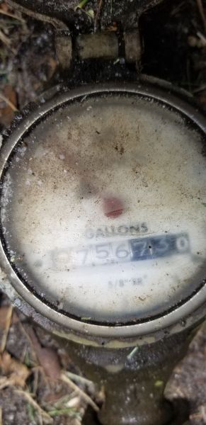 20190802_143048.jpg