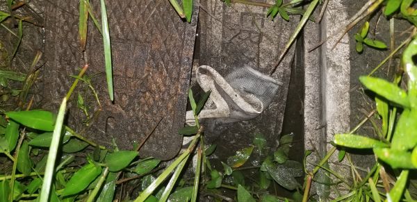 20190806_063537.jpg