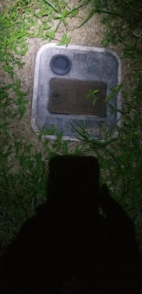 20190820_003333.jpg