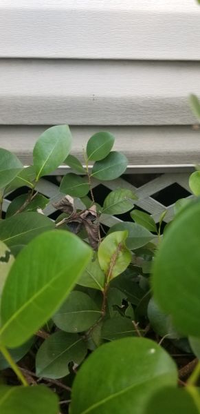 20190828_115156~0.jpg