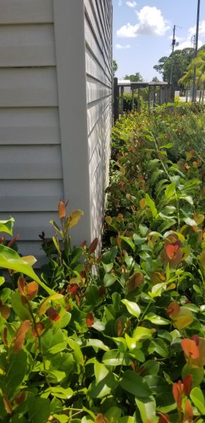20190828_115217~0.jpg
