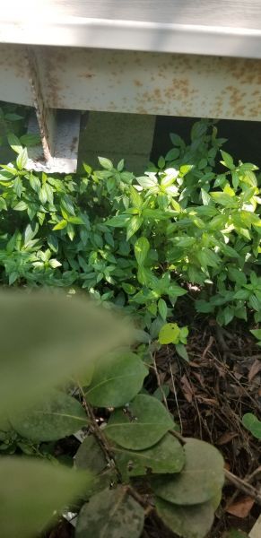 20190828_115240.jpg