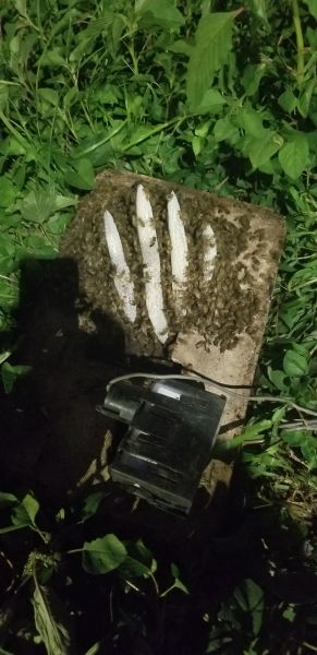 20190906_201045.jpg