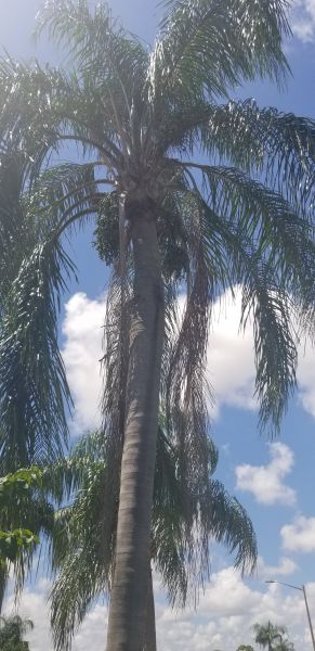 20190909_135232.jpg