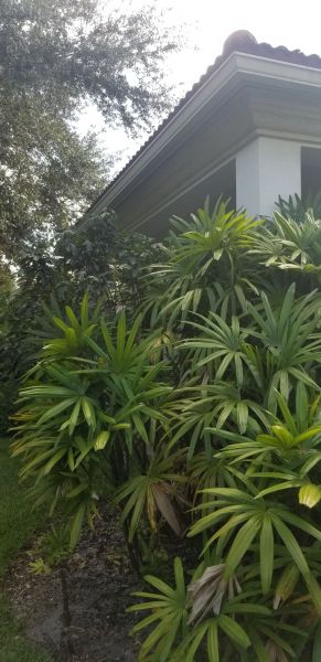20190910_165621.jpg
