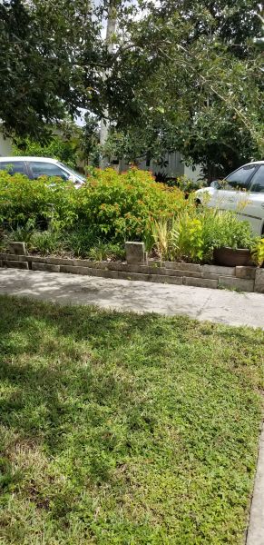 20190912_134547.jpg