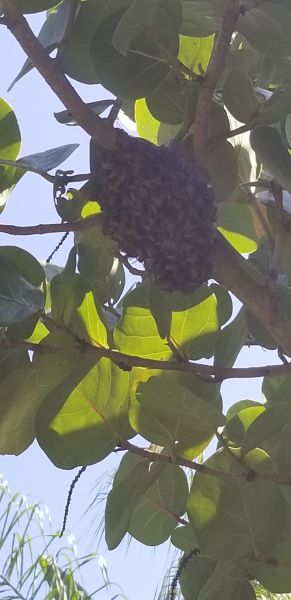 20190917_145249.jpg