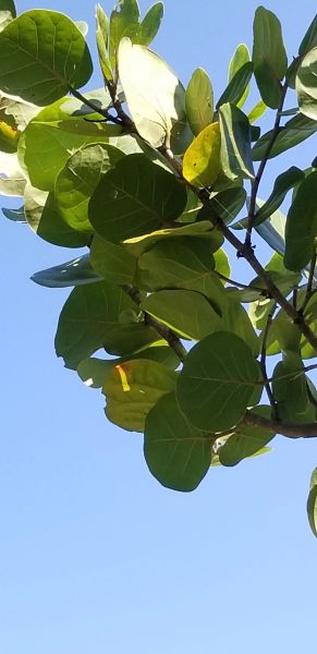 20190917_145326.jpg