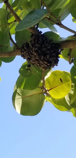 20190917_145339.jpg