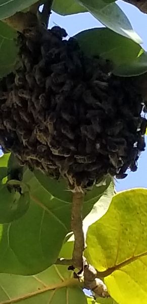 20190917_145351.jpg
