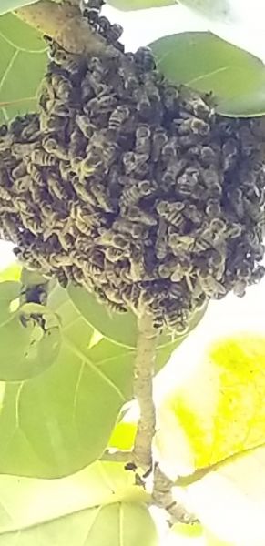 20190917_145353.jpg