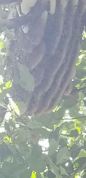 20190923_150921.jpg
