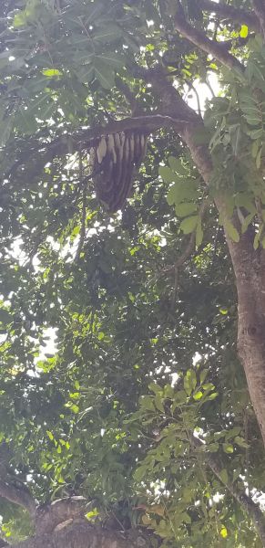 20190923_151214.jpg