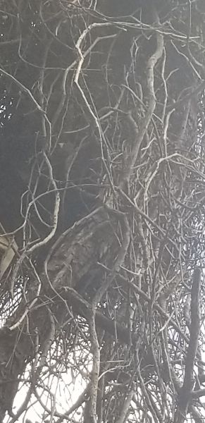 20190923_161526.jpg