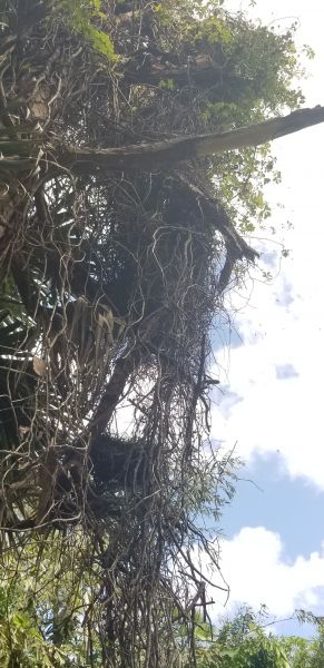 20190923_161531.jpg