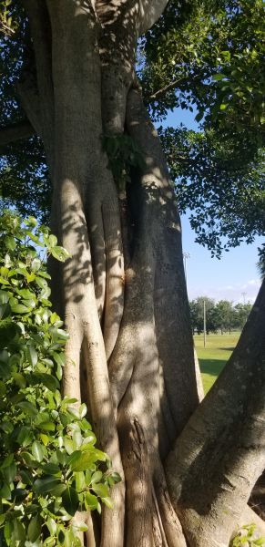20190924_093531.jpg