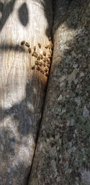 20190924_093632.jpg
