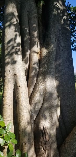 20190924_093742.jpg