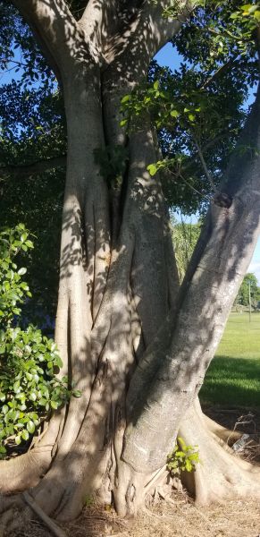 20190924_093817.jpg