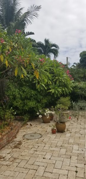 20191001_123033.jpg