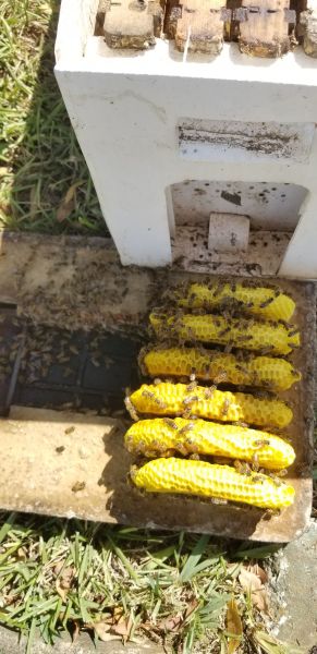20191004_144253.jpg