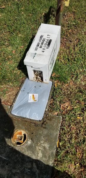 20191004_145548.jpg