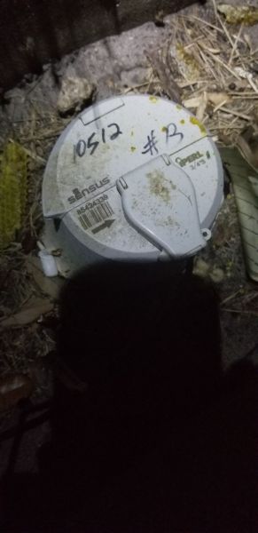 20191004_202808.jpg