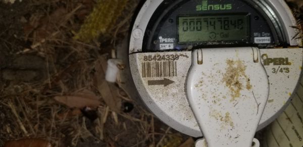 20191004_202832.jpg