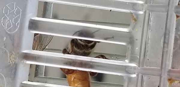 20191005_135742.jpg