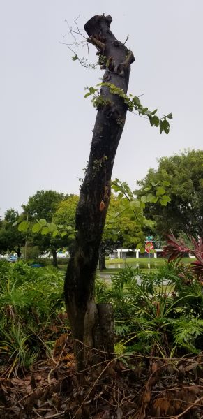 20191008_160116.jpg