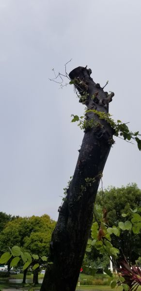 20191008_160141.jpg