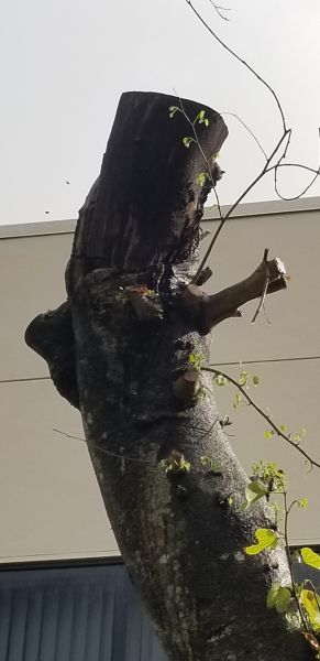 20191008_160158.jpg