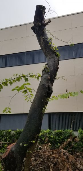 20191008_160207.jpg