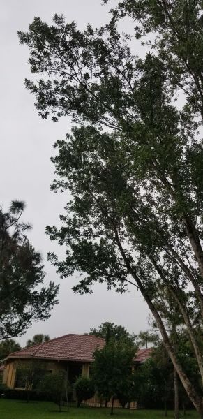 20191009_162950.jpg
