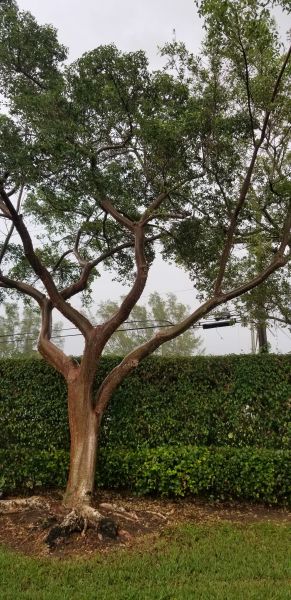 20191009_163047.jpg