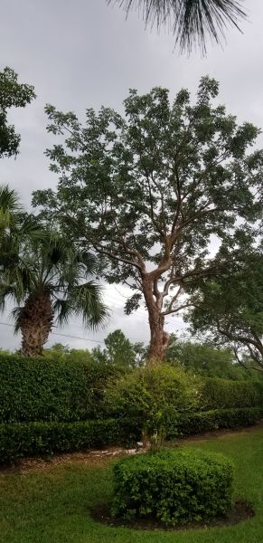 20191009_163050.jpg