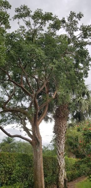 20191009_163142.jpg