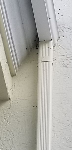 20191017_155624.jpg