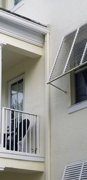 20191017_155649.jpg