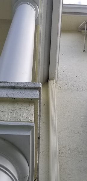 20191017_155812.jpg