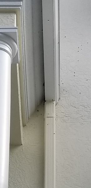 20191017_155851.jpg