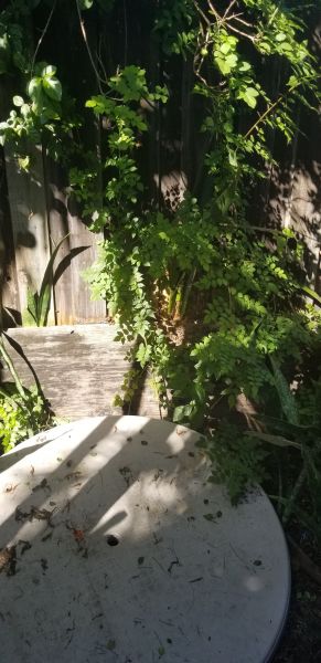 20191028_145844.jpg